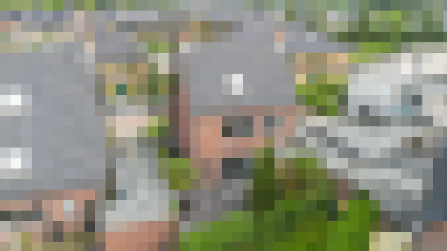 Watermolen 22 Loenen thumbnail 58