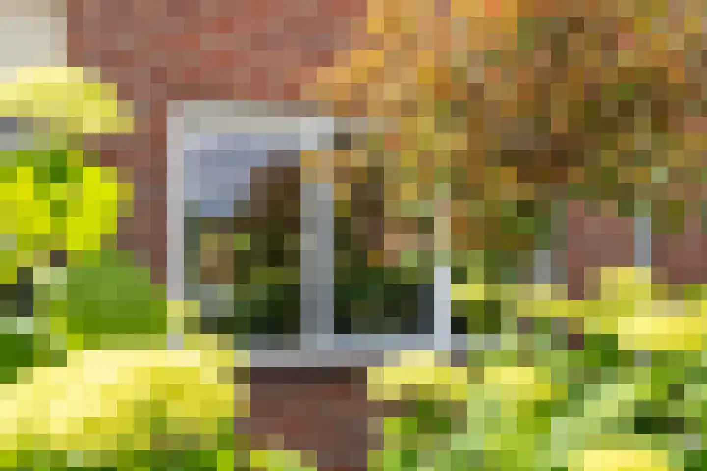 Watermolen 22 Loenen thumbnail 9