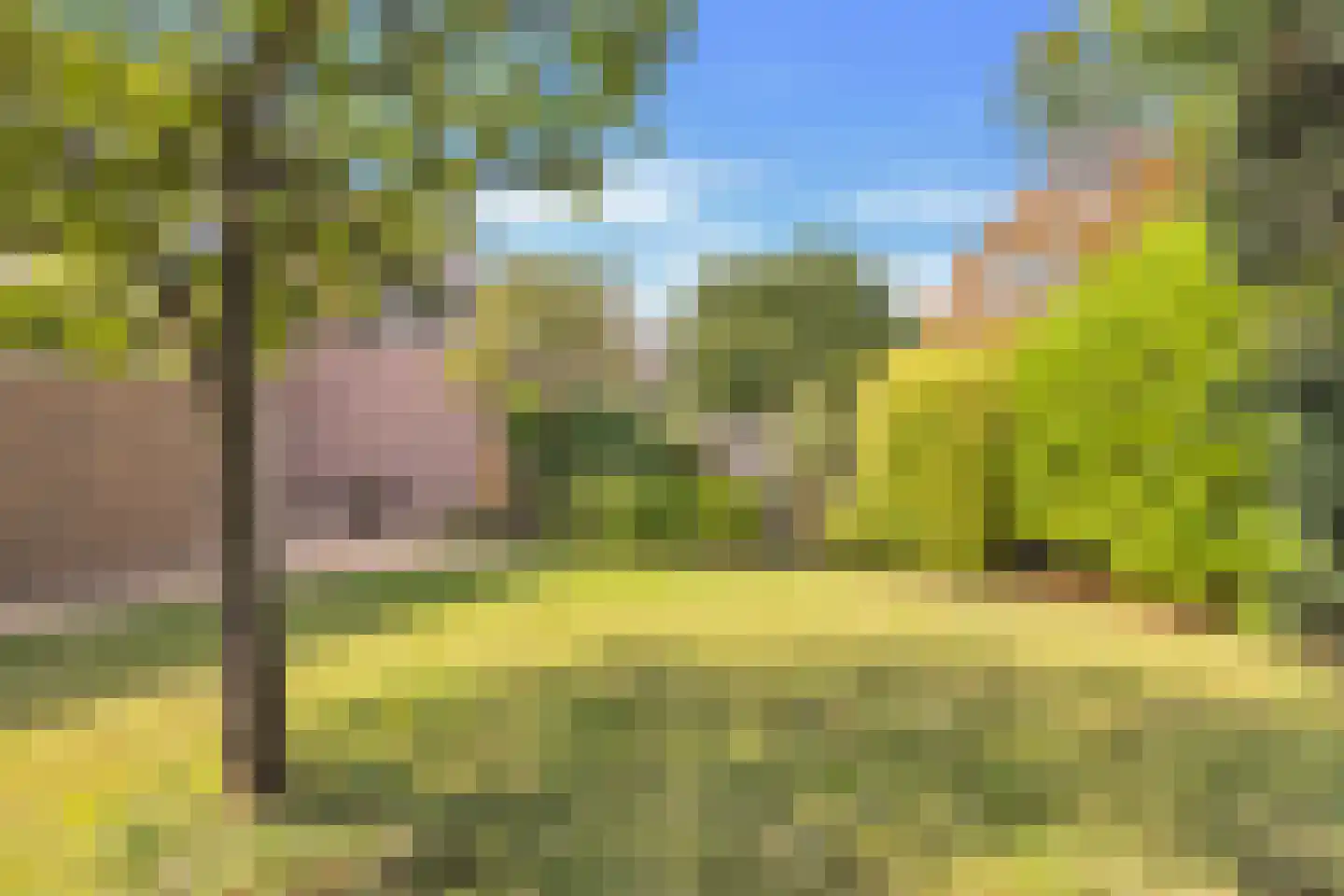 Watermolen 23 Schagen thumbnail 32