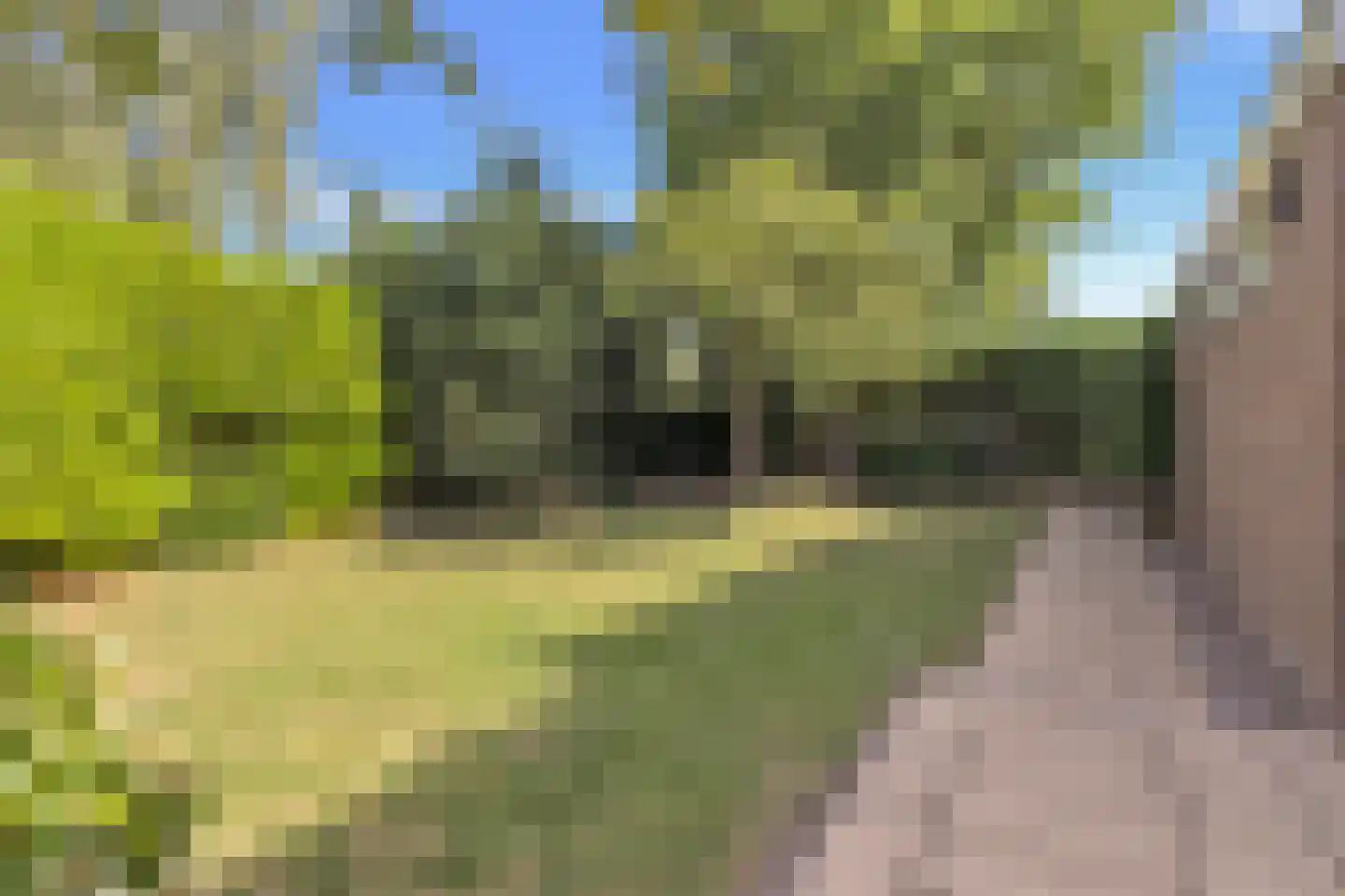 Watermolen 23 Schagen thumbnail 33
