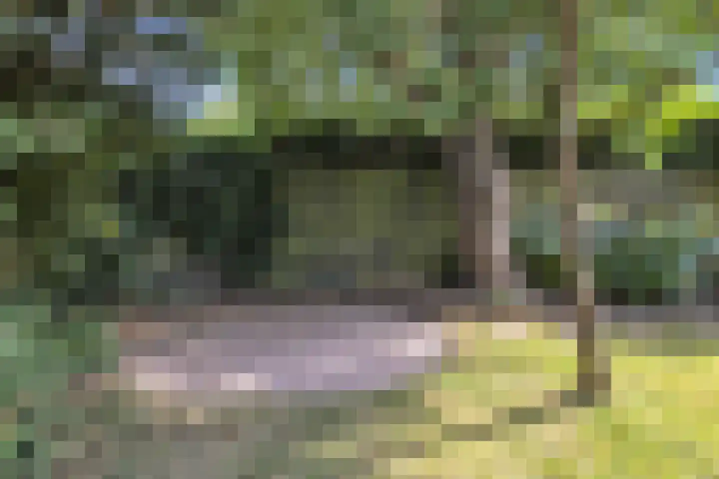 Watermolen 23 Schagen thumbnail 34