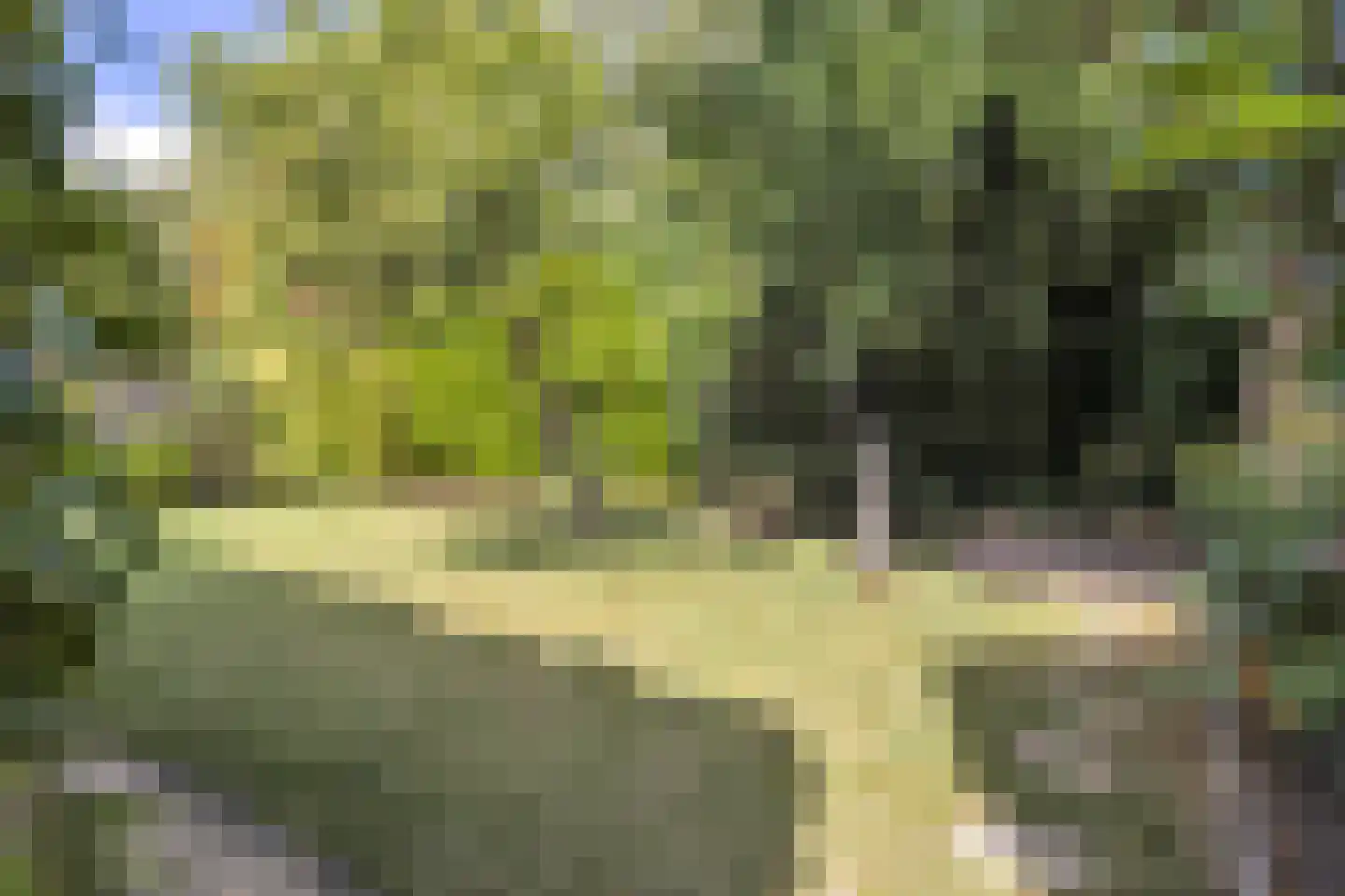 Watermolen 23 Schagen thumbnail 35