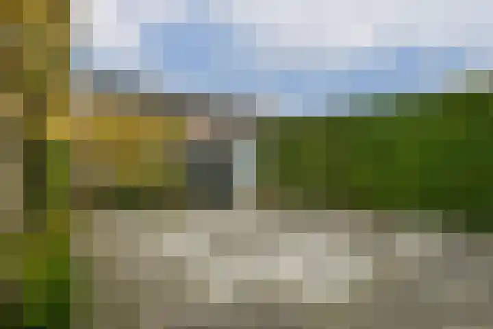 Watermolen 24 Waddinxveen thumbnail 15