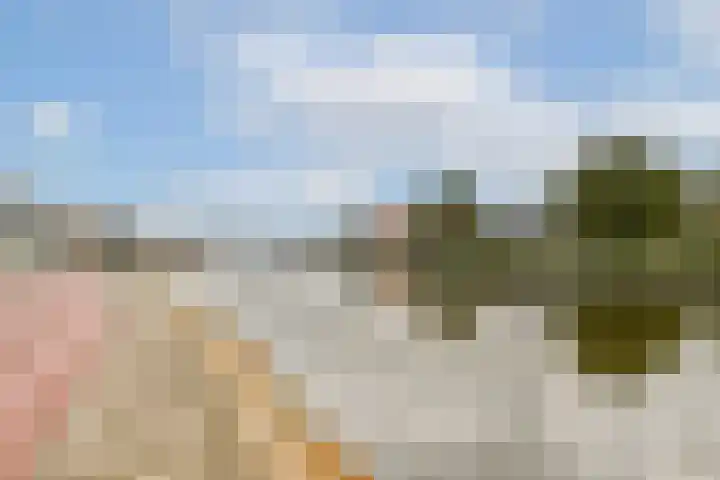 Watermolen 24 Waddinxveen thumbnail 32