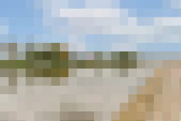 Watermolen 24 Waddinxveen thumbnail 33