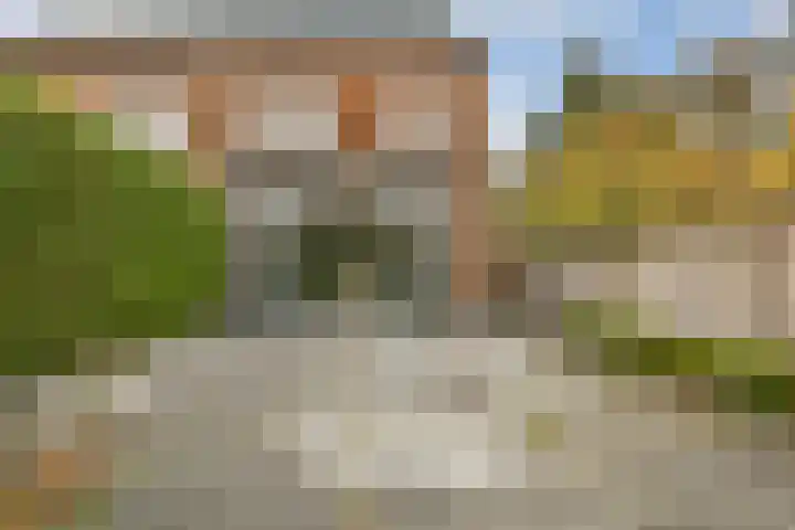 Watermolen 24 Waddinxveen thumbnail 4