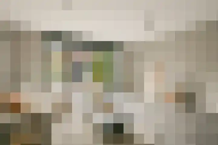 Watermolen 24 Waddinxveen thumbnail 5