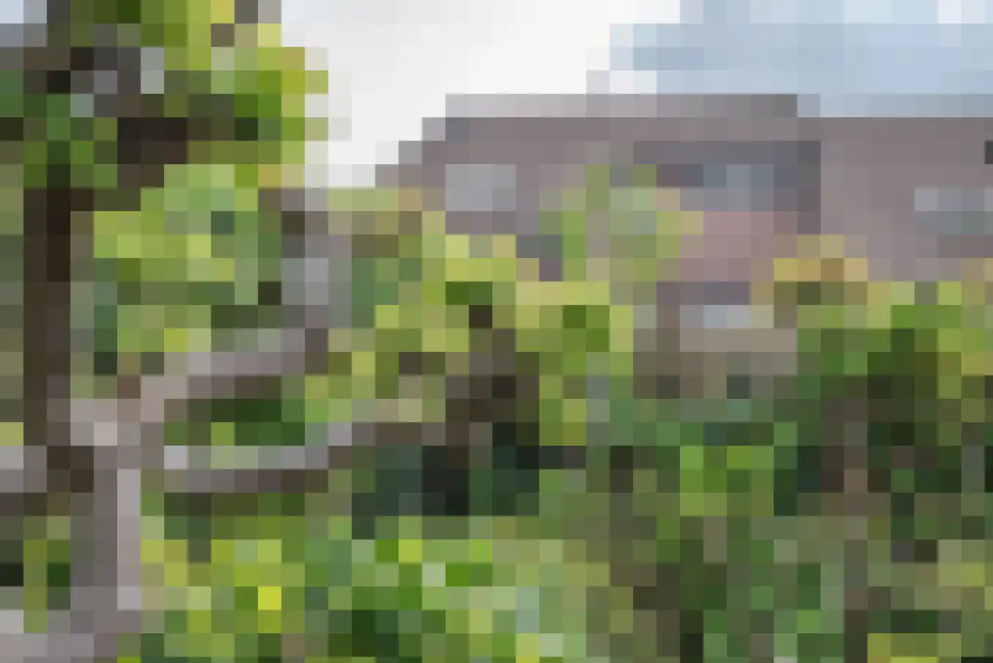 Watermolen 3 Bergschenhoek thumbnail 42