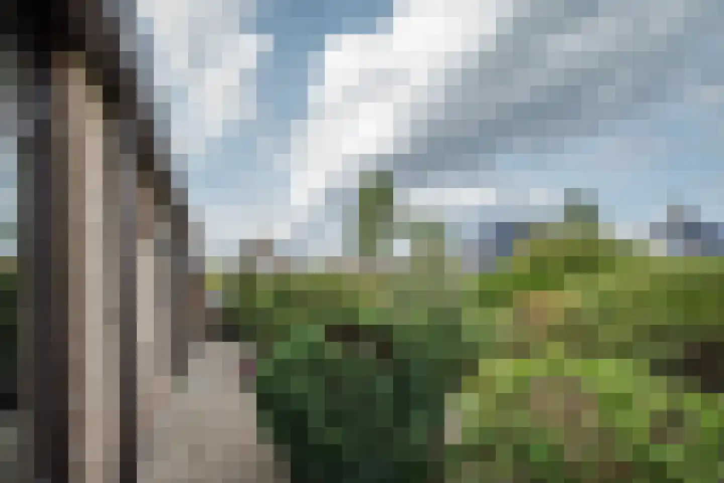 Watermolen 3 Bergschenhoek thumbnail 46