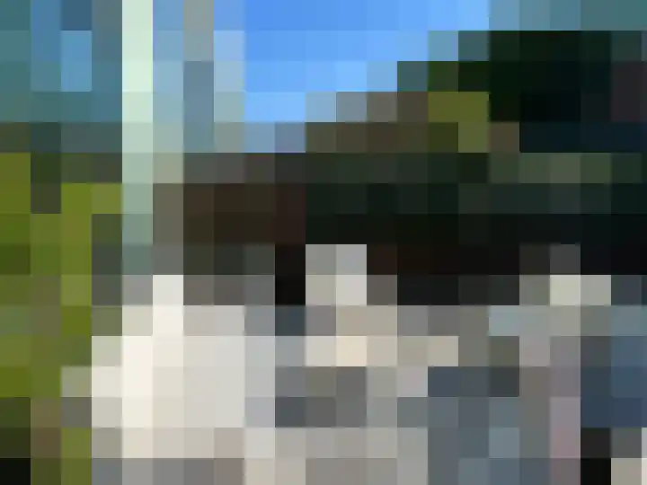 Watermolen 33 Maassluis thumbnail 16
