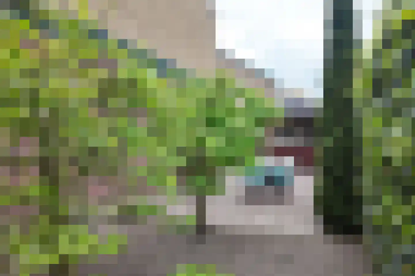 Watermolen 35 Zevenbergen thumbnail 55