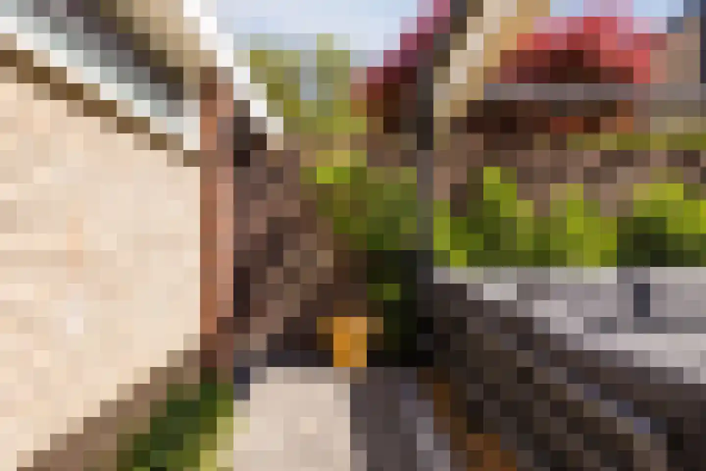 Watermolen 36 Zevenbergen thumbnail 31