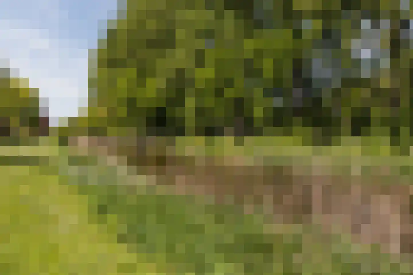 Watermolen 36 Zevenbergen thumbnail 33