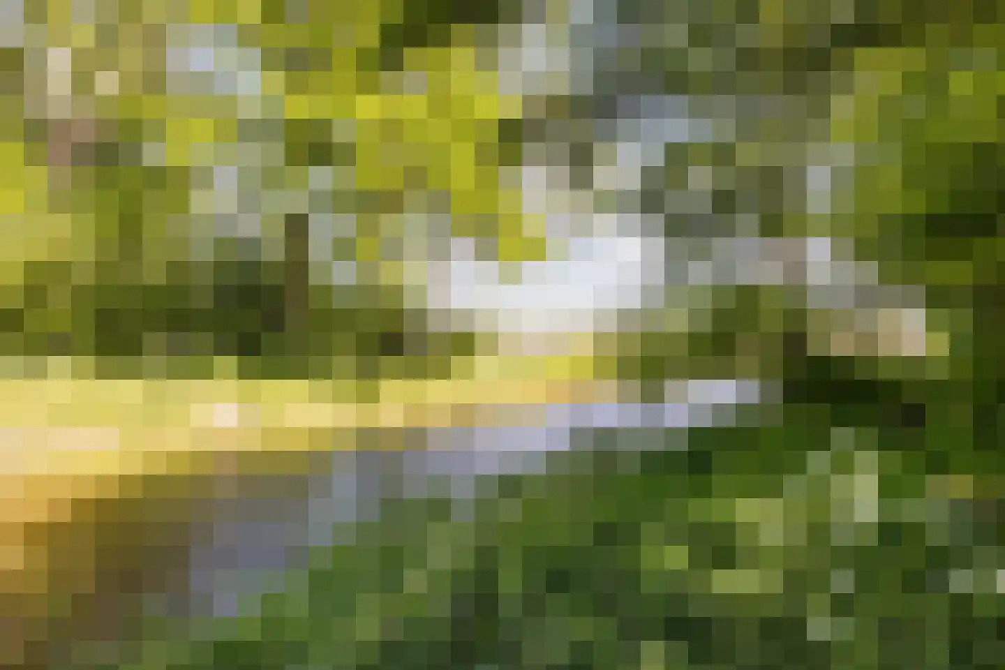 Watermolen 36 Zevenbergen thumbnail 34