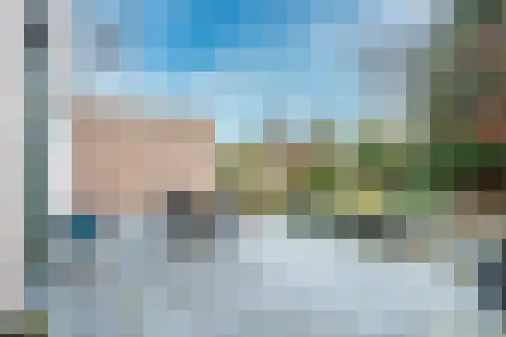 Watermolen 40 Houten thumbnail 12