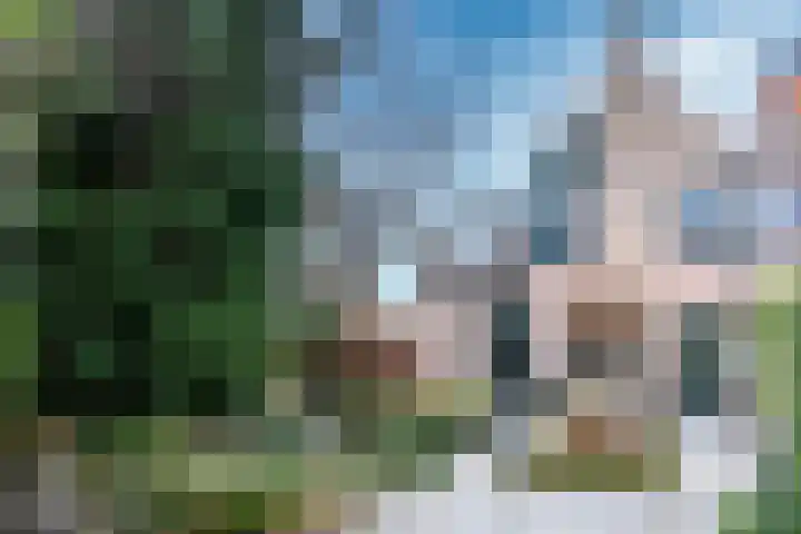 Watermolen 40 Houten thumbnail 16