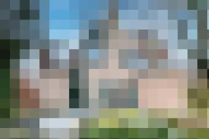 Watermolen 40 Houten thumbnail 17