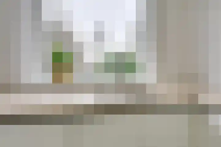 Watermolen 40 Houten thumbnail 22
