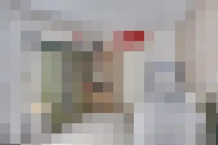 Watermolen 40 Houten thumbnail 25