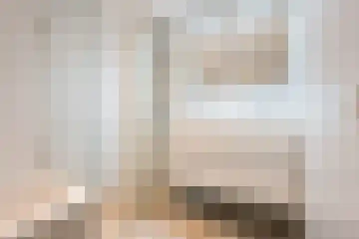 Watermolen 40 Houten thumbnail 33