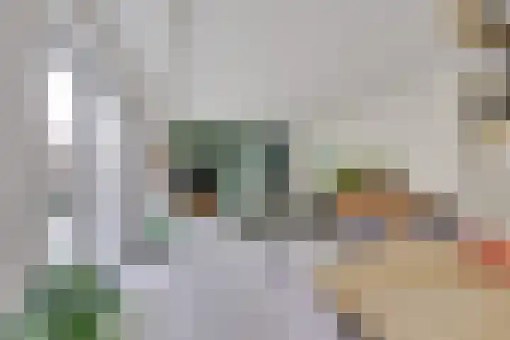 Watermolen 40 Houten thumbnail 8