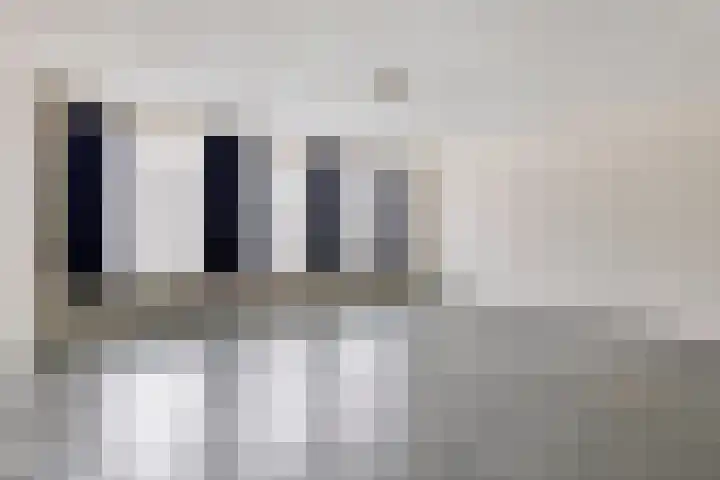Watermolen 47 Gemert thumbnail 16