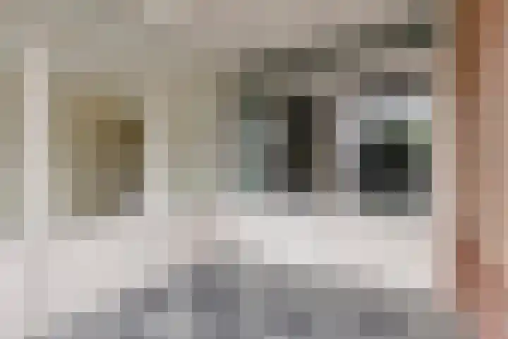 Watermolen 47 Gemert thumbnail 5
