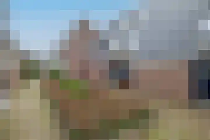 Watermolen 48 Ridderkerk thumbnail 45