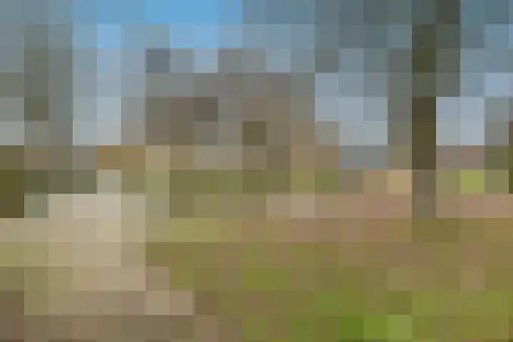 Watermolen 48 Ridderkerk thumbnail 47