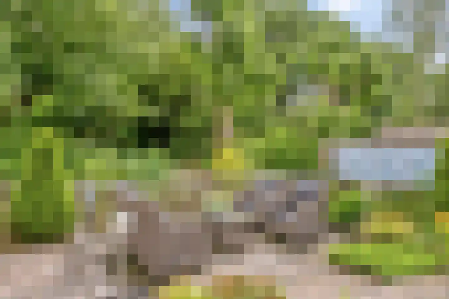 Watermolen 5 Mijdrecht thumbnail 31