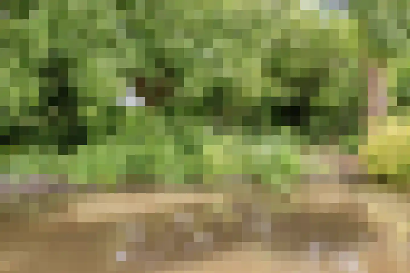 Watermolen 5 Mijdrecht thumbnail 34