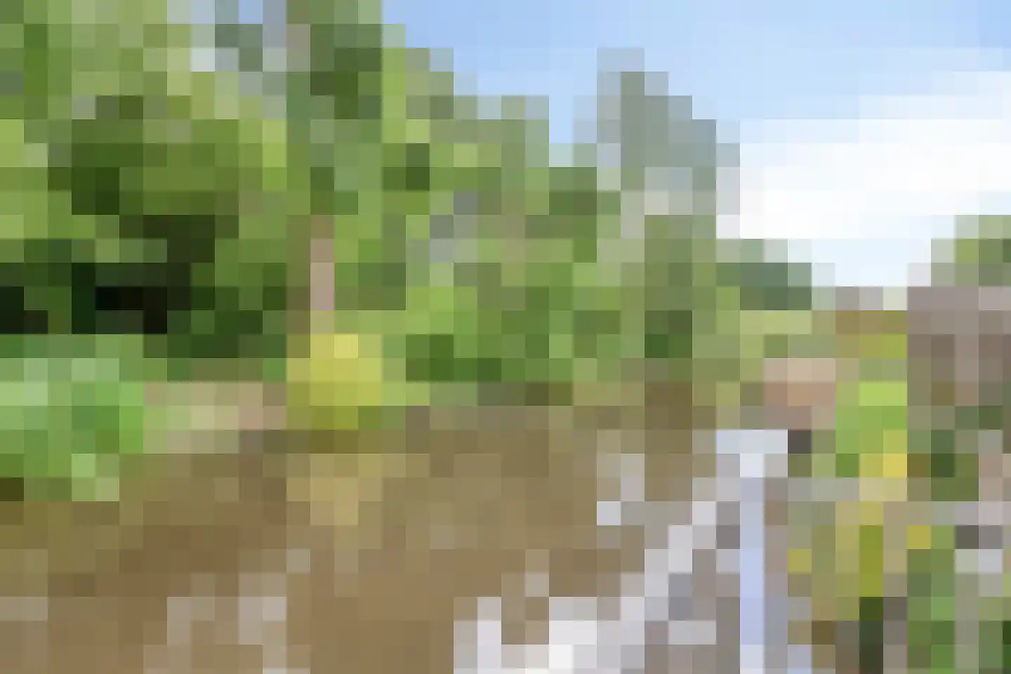 Watermolen 5 Mijdrecht thumbnail 35