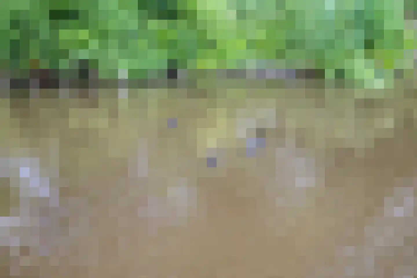 Watermolen 5 Mijdrecht thumbnail 36