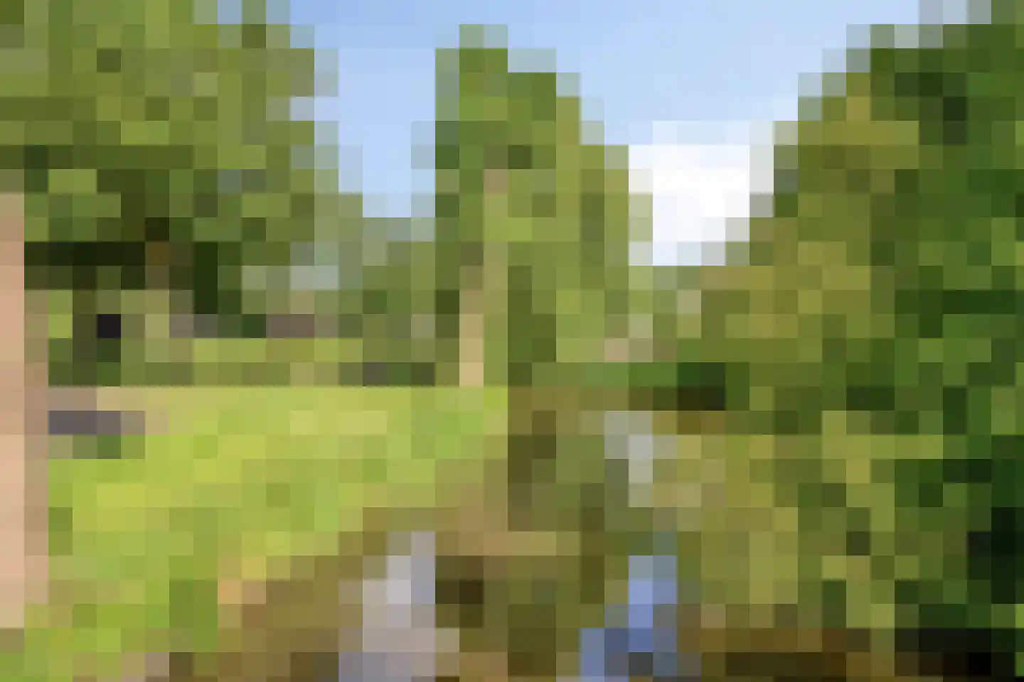 Watermolen 5 Mijdrecht thumbnail 39