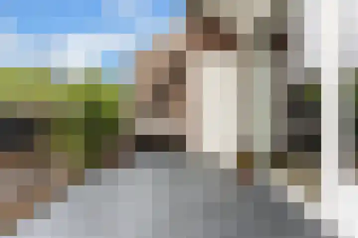 Watermolen 58 Ridderkerk thumbnail 43