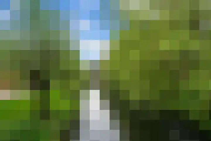 Watermolen 58 Ridderkerk thumbnail 68