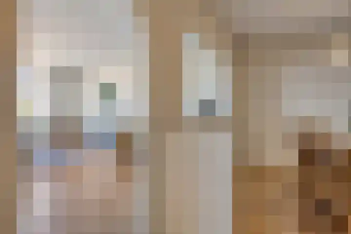 Watermolen 67 Rijssen thumbnail 11