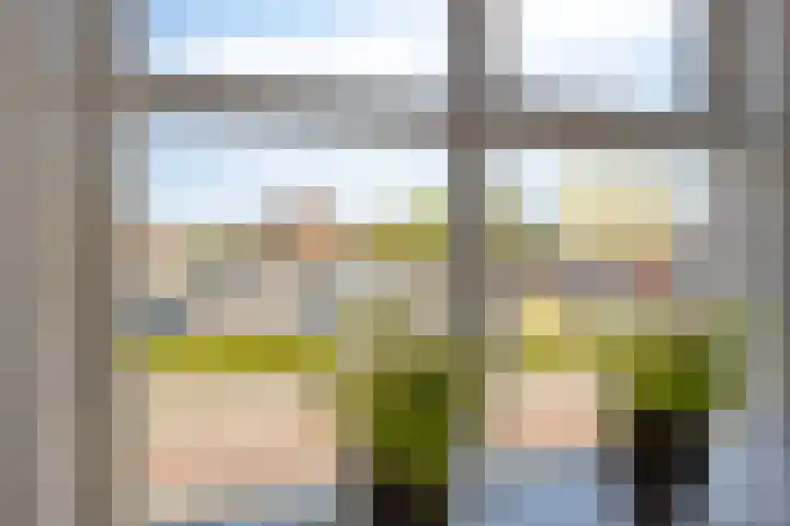 Watermolen 67 Rijssen thumbnail 16