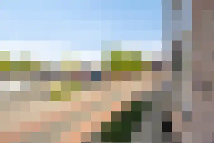 Watermolen 67 Rijssen thumbnail 27