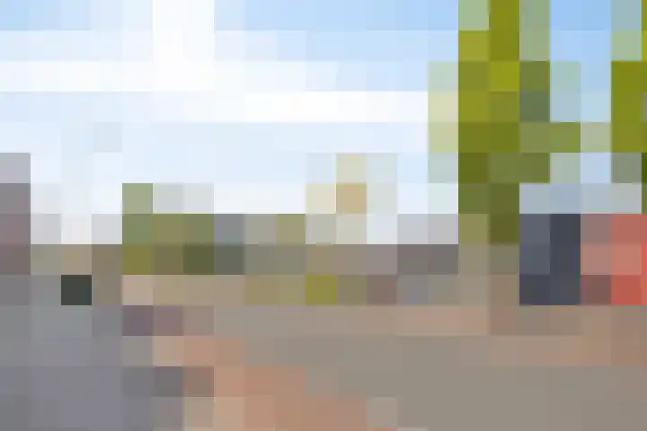 Watermolen 67 Rijssen thumbnail 36
