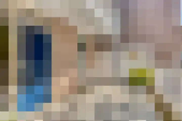 Watermolen 67 Rijssen thumbnail 8