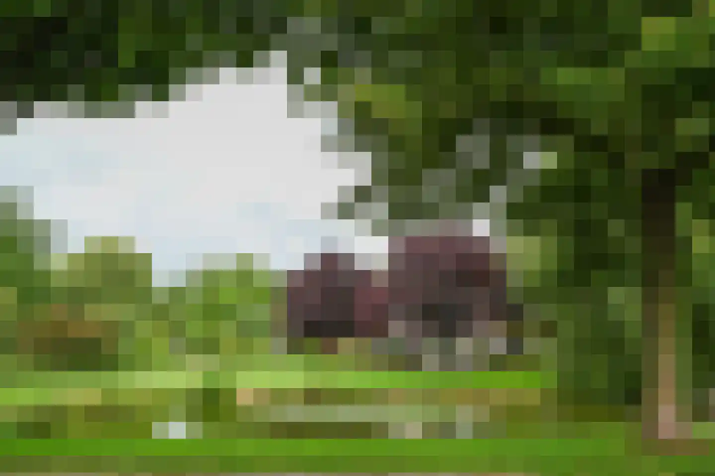 Watermolen 8 Mijdrecht thumbnail 31