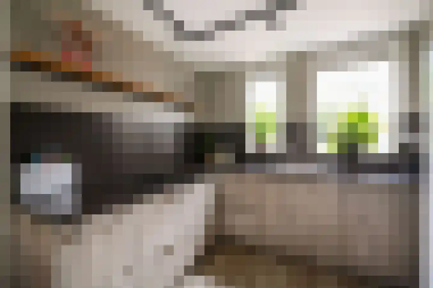 Watermolen 8 Mijdrecht thumbnail 8