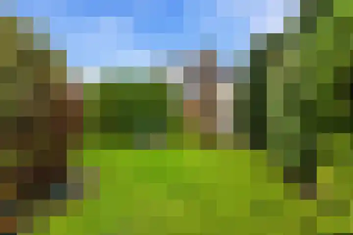 Watermolen 84 Ridderkerk thumbnail 31