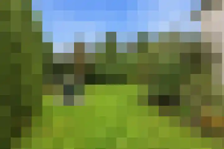 Watermolen 84 Ridderkerk thumbnail 40