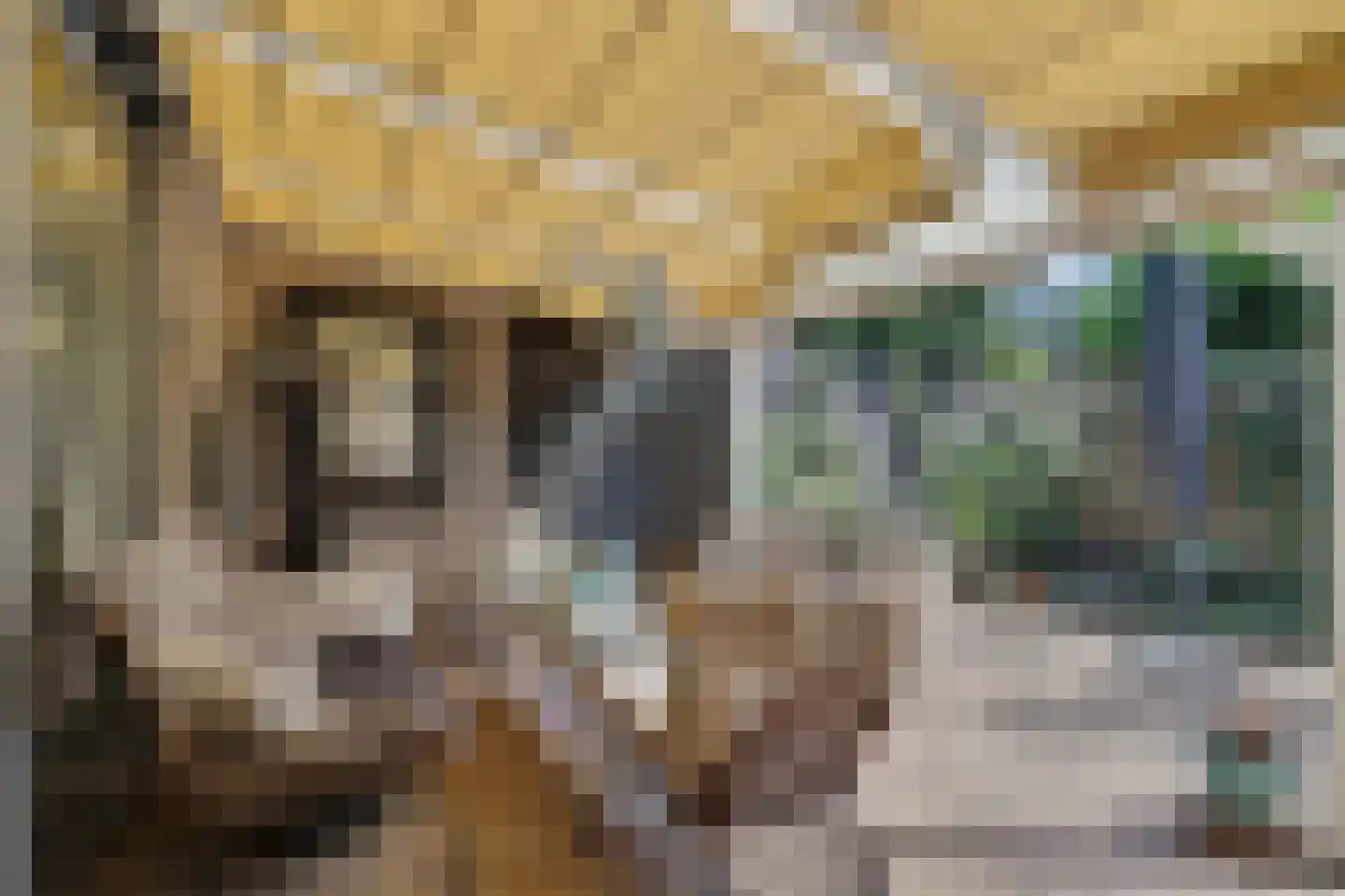 Watermolen 91 Ridderkerk thumbnail 34