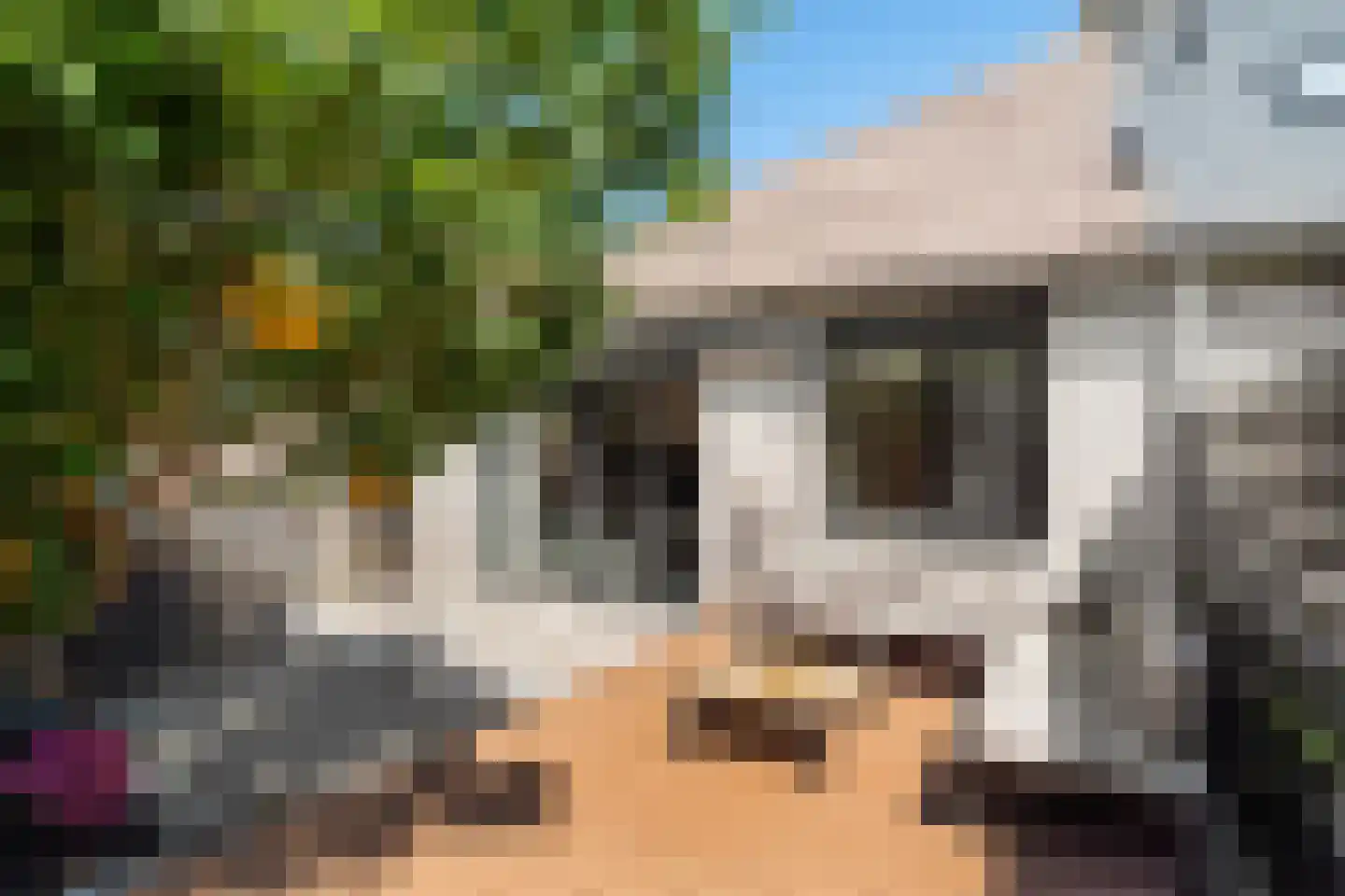 Watermolen 92 Ridderkerk thumbnail 4