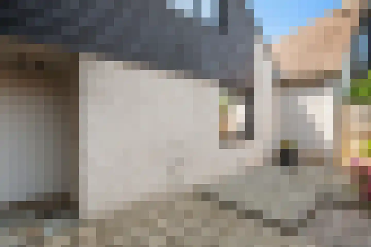 Watermolen 92 Ridderkerk thumbnail 5