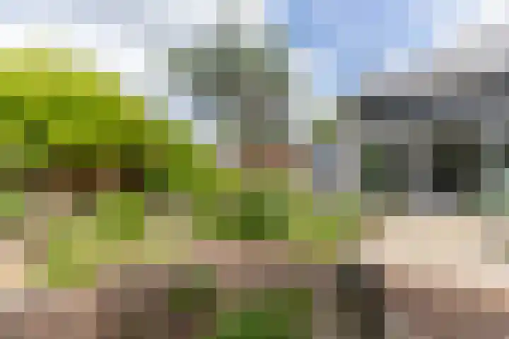Watermolen 96 Ridderkerk thumbnail 35