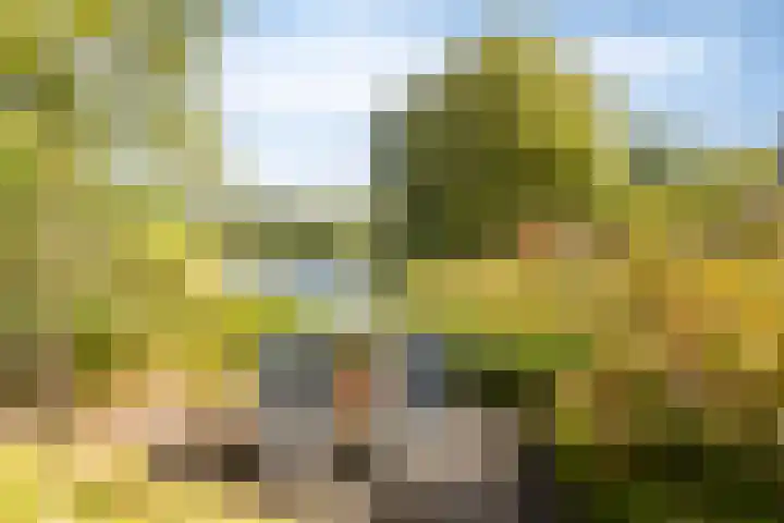 Watermoleneiland 16 Lochem thumbnail 12